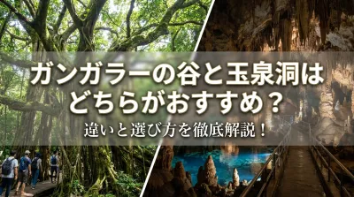 ガンガラーの谷と玉泉洞はどちらがおすすめ？違いと選び方を徹底解説！