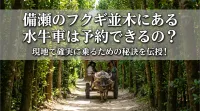 備瀬のフクギ並木にある水牛車は予約できるの？現地で確実に乗るための秘訣を伝授！