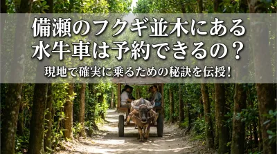 備瀬のフクギ並木にある水牛車は予約できるの？現地で確実に乗るための秘訣を伝授！