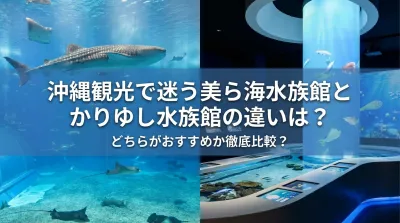 美ら海水族館とかりゆし水族館の違いは？どちらがおすすめか徹底比較？