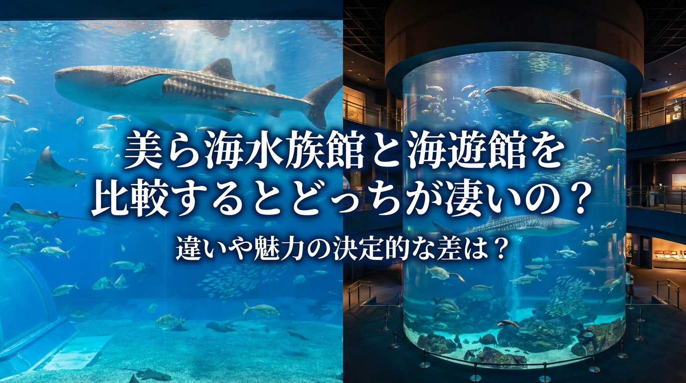 美ら海水族館と海遊館を比較するとどっちが凄いの？違いや魅力の決定的な差は？