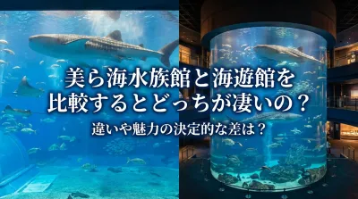 美ら海水族館と海遊館を比較するとどっちが凄いの？違いや魅力の決定的な差は？
