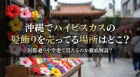 沖縄でハイビスカスの髪飾りを売ってる場所はどこ？国際通りや空港で買えるのか徹底解説？